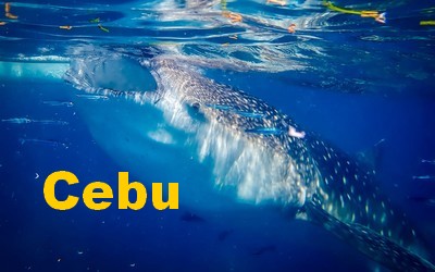 Cebu