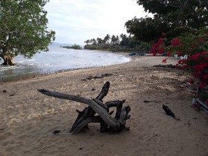 Guimaras