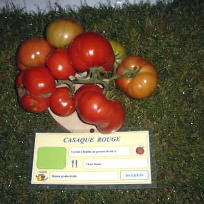 Rouge tomate vs rouge casaque what's the difference?