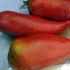The peppers