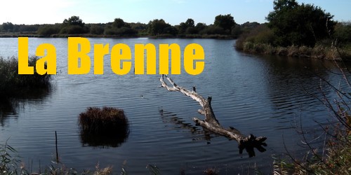 Brenne
